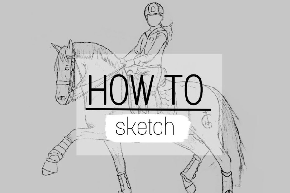 How to sketch a horse with rider ????