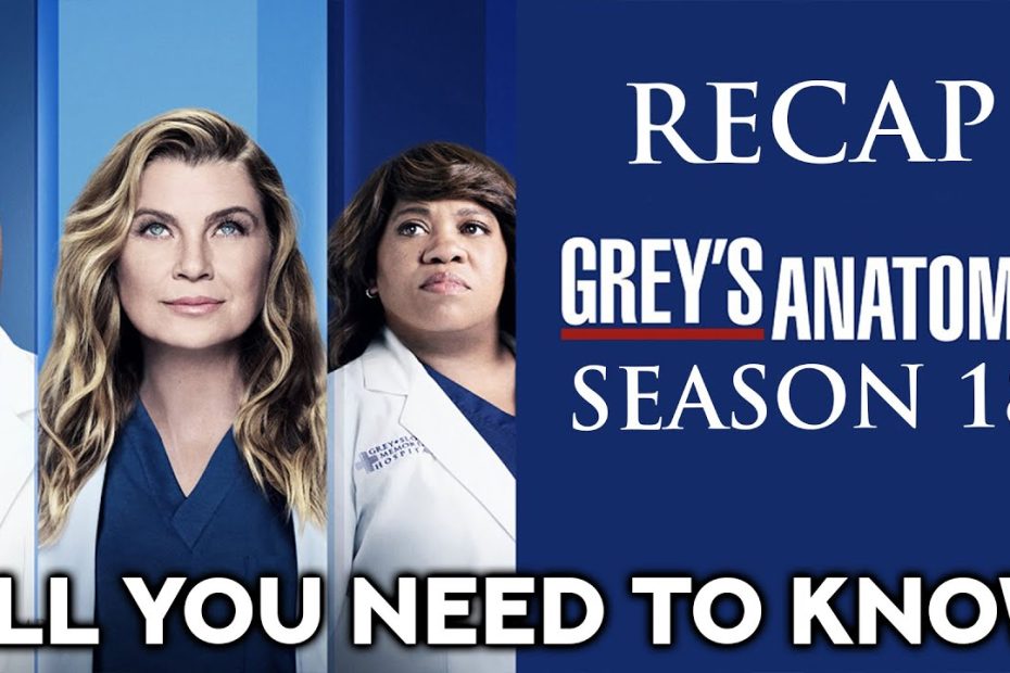Grey´s Anatomy | Season 18 Recap | All you need to know