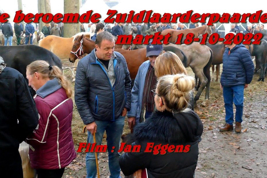 De beroemde Zuidlaarderpaardenmarkt 18 10 2022