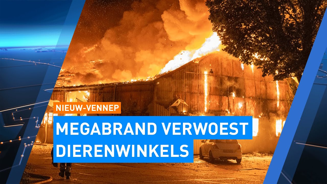 Megabrand verwoest dierenwinkels Nieuw-Vennep: alle dieren dood | Hart van Nederland