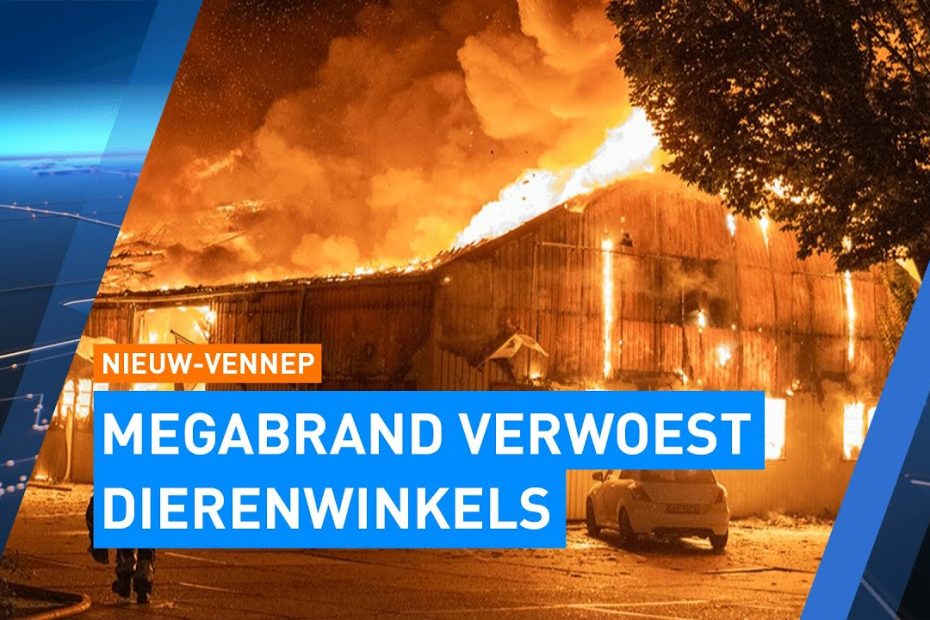 Megabrand verwoest dierenwinkels Nieuw-Vennep: alle dieren dood | Hart van Nederland