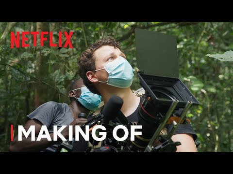 The Making Of Chimp Empire | Netflix