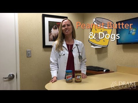 Peanut Butter & Dogs: The Ingredient That Your Pup Should Avoid