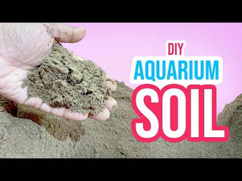 De ultieme doe-het-zelf-tutorial voor het maken van aquariumgrond | Maak thuis uw eigen aquariumgrond