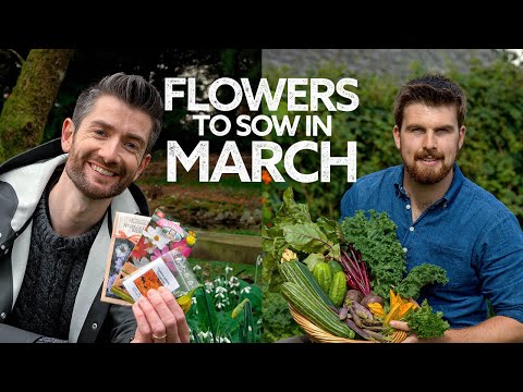 What Flowers To Sow in March with @HuwRichards | Flowers to Sow in Spring | What to Sow Now