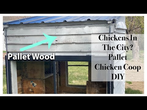 Chickens In The City DIY Pallet Chicken Coop City Homesteading